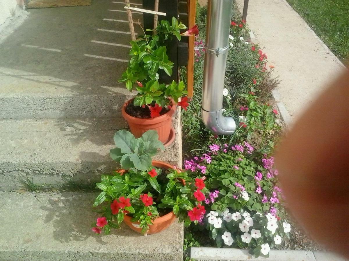 Saborsko Apartment Lug מראה חיצוני תמונה